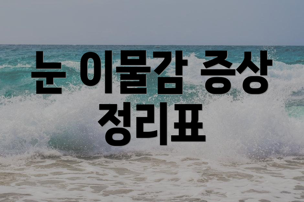 눈 이물감 증상 정리표