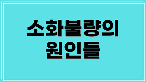 소화불량의 원인들