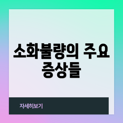 소화불량의 주요 증상들
