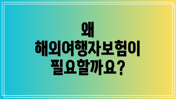 왜 해외여행자보험이 필요할까요?