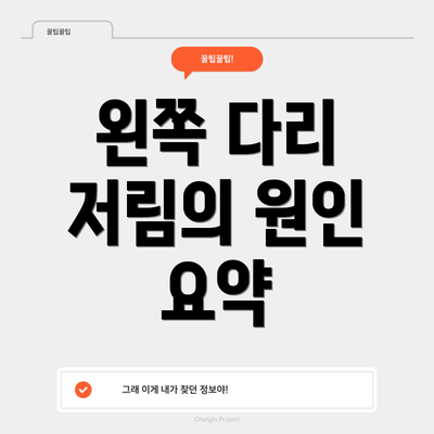 왼쪽 다리 저림의 원인 요약