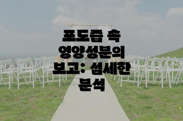 포도즙 속 영양성분의 보고: 섬세한 분석