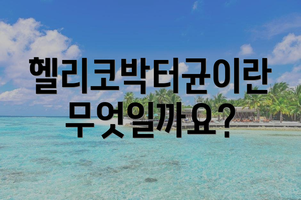 헬리코박터균이란 무엇일까요?