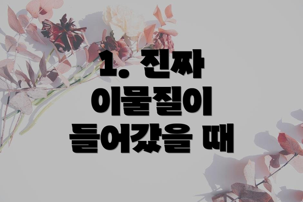 1. 진짜 이물질이 들어갔을 때
