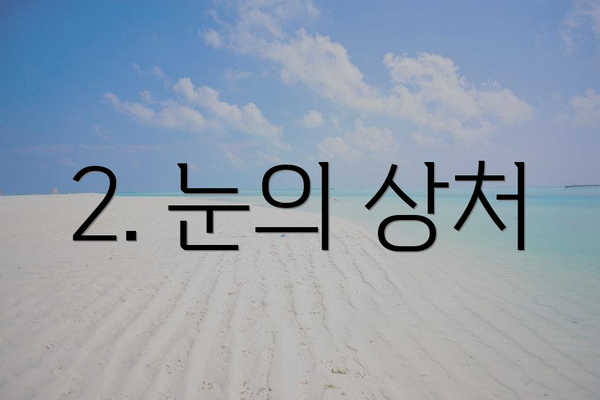 2. 눈의 상처