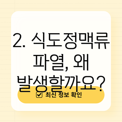 2. 식도정맥류 파열, 왜 발생할까요?