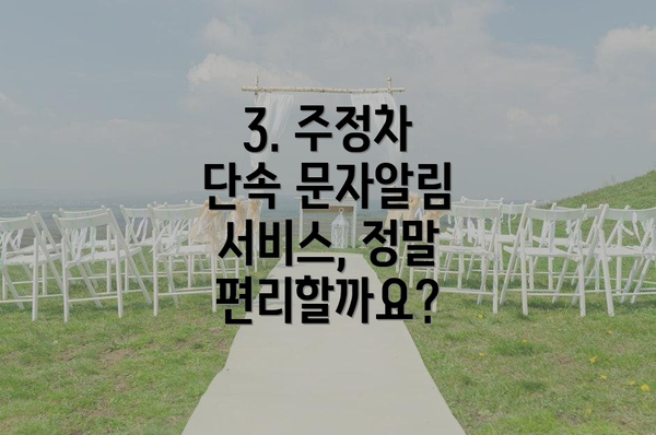 3. 주정차 단속 문자알림 서비스, 정말 편리할까요?