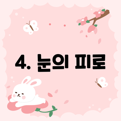 4. 눈의 피로