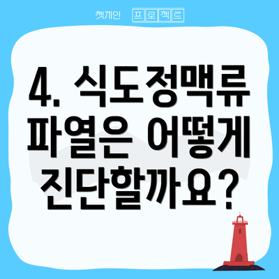 4. 식도정맥류 파열은 어떻게 진단할까요?