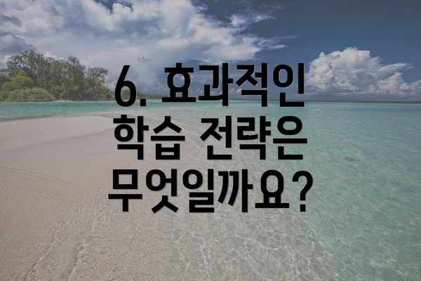 6. 효과적인 학습 전략은 무엇일까요?