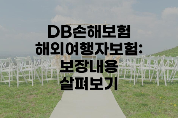 DB손해보험 해외여행자보험 주요 내용 요약