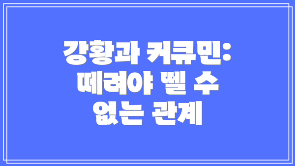 강황과 커큐민: 떼려야 뗄 수 없는 관계