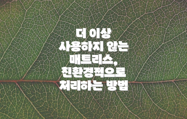 더 이상 사용하지 않는 매트리스, 친환경적으로 처리하는 방법