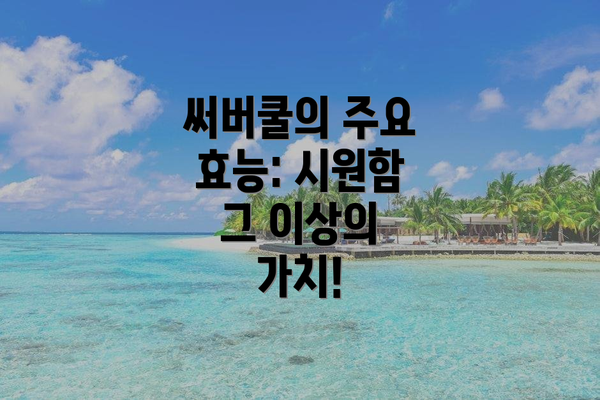 써버쿨의 주요 효능: 시원함 그 이상의 가치!