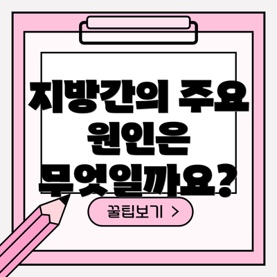 지방간의 주요 원인은 무엇일까요?