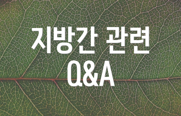 지방간 관련 Q&A