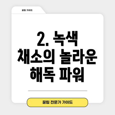 2. 녹색 채소의 놀라운 해독 파워