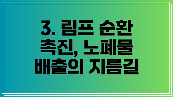 3. 림프 순환 촉진, 노폐물 배출의 지름길