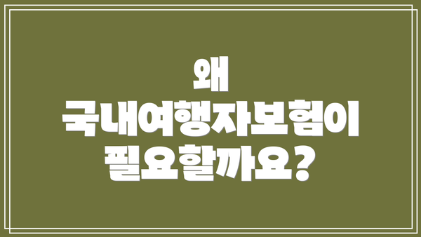 왜 국내여행자보험이 필요할까요?