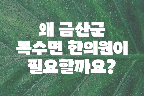 왜 금산군 복수면 한의원이 필요할까요?