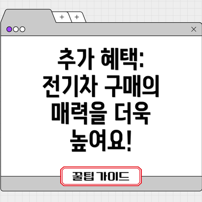 추가 혜택:  전기차 구매의 매력을 더욱 높여요!
