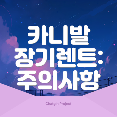카니발 장기렌트: 주의사항