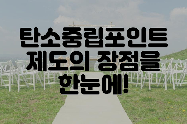 탄소중립포인트 제도의 장점을 한눈에!