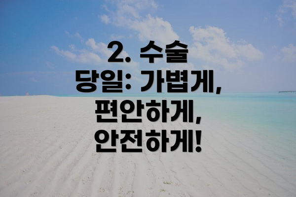 2. 수술 당일: 가볍게, 편안하게, 안전하게!