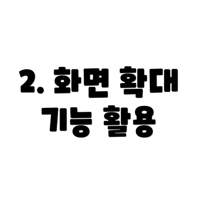 2. 화면 확대 기능 활용