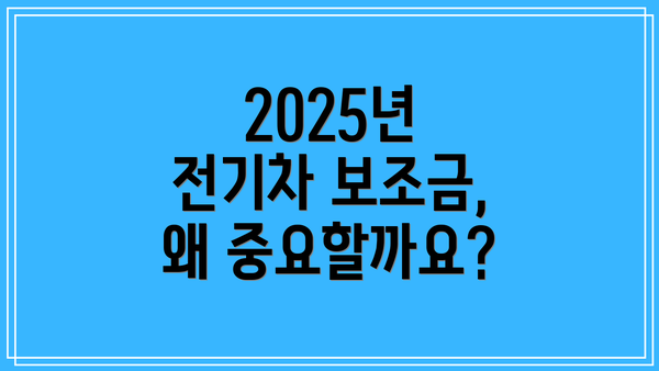 2025년 전기차 보조금, 왜 중요할까요?