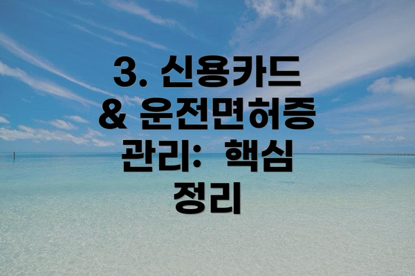 3. 신용카드 & 운전면허증 관리:  핵심 정리