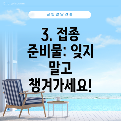 3. 접종 준비물: 잊지 말고 챙겨가세요!