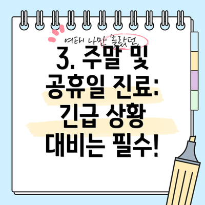 3. 주말 및 공휴일 진료: 긴급 상황 대비는 필수!