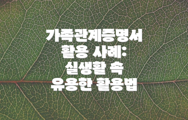 가족관계증명서 활용 사례: 실생활 속 유용한 활용법