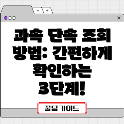 과속 단속 조회 방법: 간편하게 확인하는 3단계!