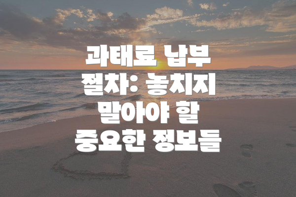 과태료 납부 절차: 놓치지 말아야 할 중요한 정보들