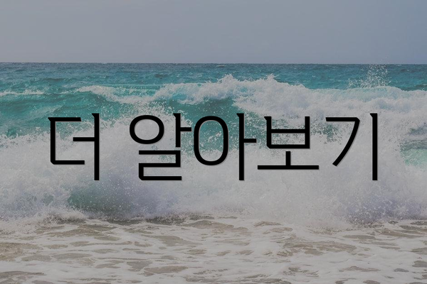 더 알아보기