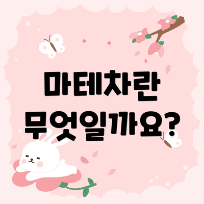 마테차란 무엇일까요?