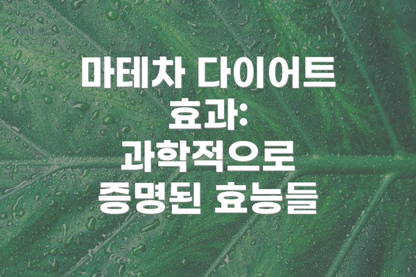 마테차 다이어트 효과: 과학적으로 증명된 효능들