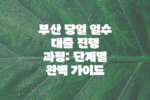 부산 당일 일수 대출 진행 과정: 단계별 완벽 가이드