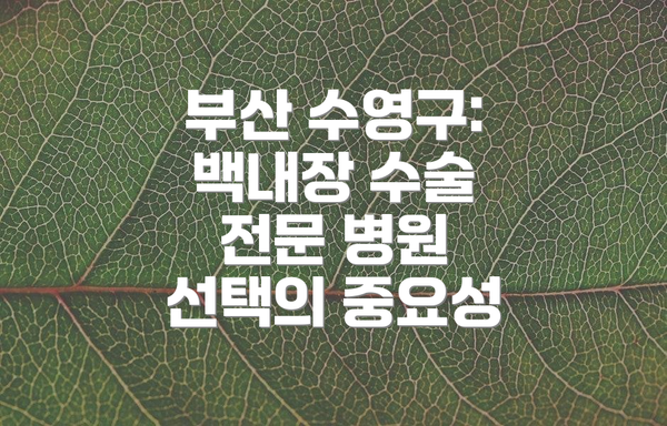 부산 수영구: 백내장 수술 전문 병원 선택의 중요성