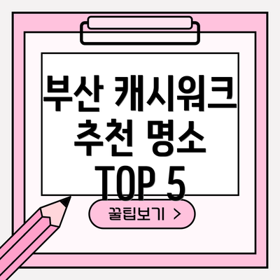 부산 캐시워크 추천 명소 TOP 5