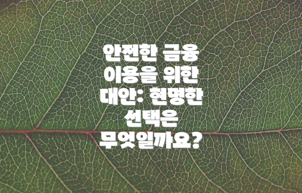 안전한 금융 이용을 위한 대안: 현명한 선택은 무엇일까요?