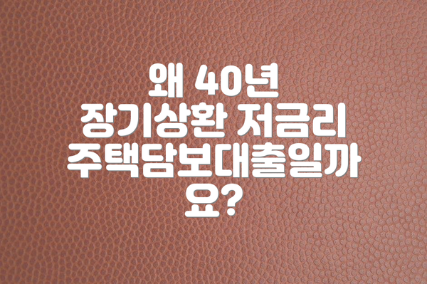 왜 40년 장기상환 저금리 주택담보대출일까요?