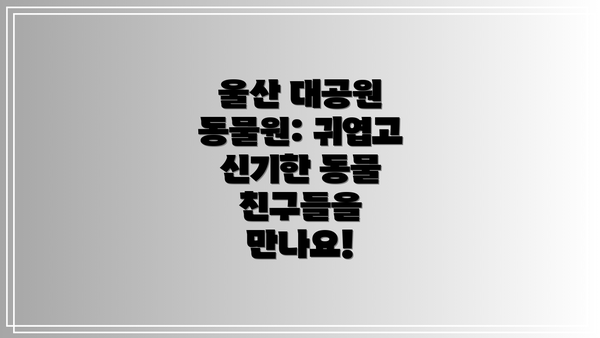 울산 대공원 동물원: 귀엽고 신기한 동물 친구들을 만나요!