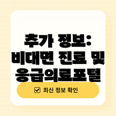 추가 정보: 비대면 진료 및 응급의료포털