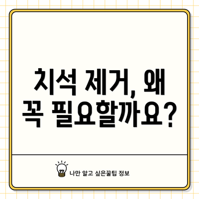 치석 제거, 왜 꼭 필요할까요?