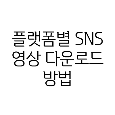 플랫폼별 SNS 영상 다운로드 방법