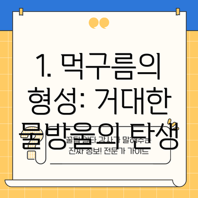 1. 먹구름의 형성: 거대한 물방울의 탄생