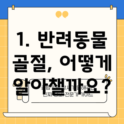 1. 반려동물 골절, 어떻게 알아챌까요?